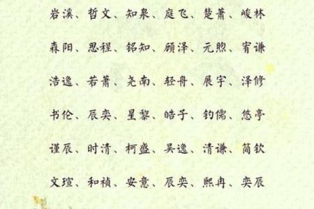 独特有寓意的小男孩名字精选