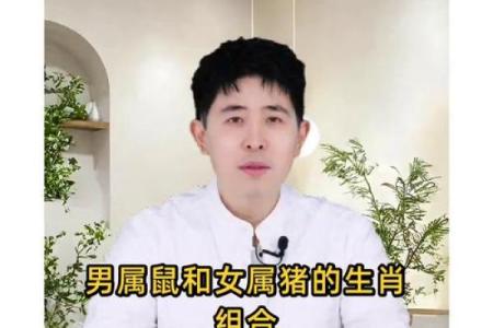 属猪男与属牛女的关系如何？性格差异与互补性分析