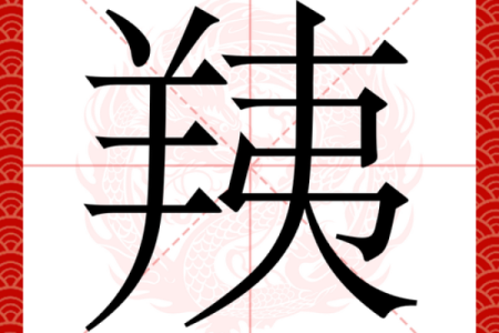 汌字五行属什么？一文揭晓其背后的奥秘