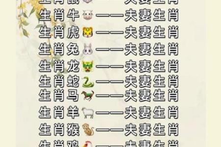 属鼠和属龙的婚配如何 适合的搭配建议