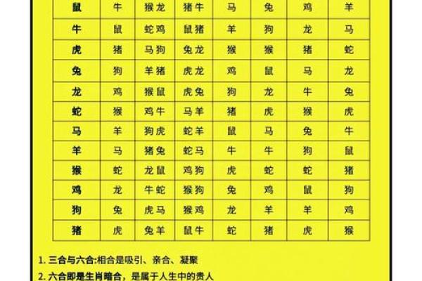 从八卦到生辰八字,学会如何精准解读命运的密码 从八卦到生辰八字,学会如何精准解读命运的密码