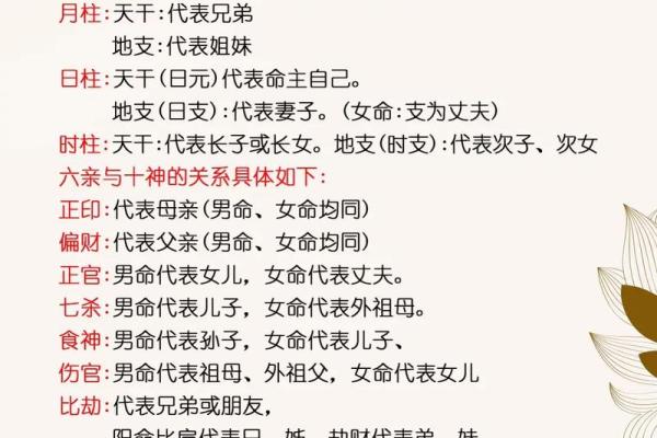 八字分组揭秘:如何通过八字分组了解你的命运走势 八字分组揭秘:如何通过八字分组了解你的命运走势