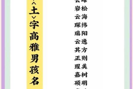 从带博的名字看其独特的个性特征