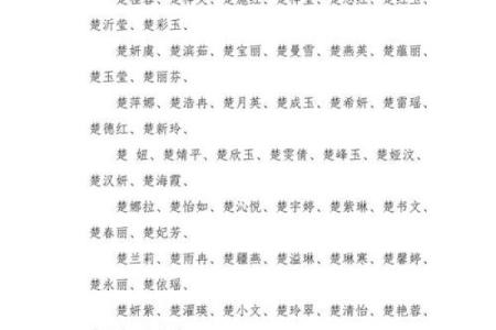 楚姓男孩名字大全：从经典到现代