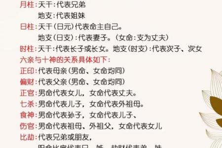 八字分组揭秘：如何通过八字分组了解你的命运走势