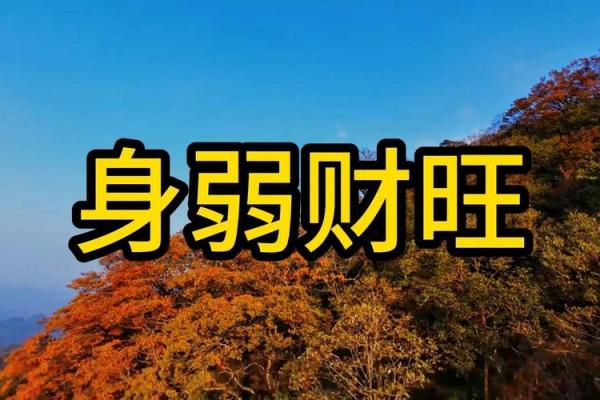 八字带财的人命运如何?揭秘财运背后的奥秘 八字带财的人命运如何?揭秘财运背后的奥秘