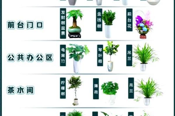 办公室风水布局：如何正确摆放办公桌