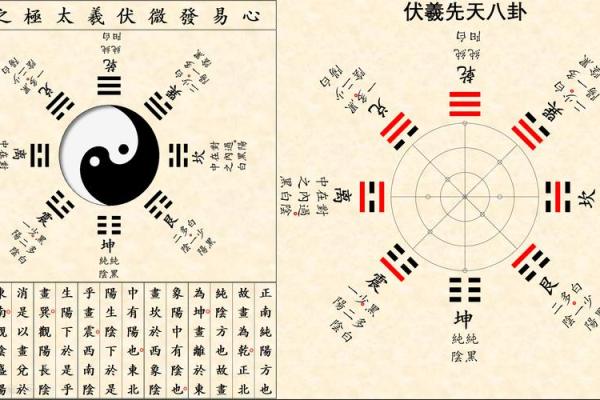 从太极图看风水布局的奥秘 从太极图看风水布局的奥秘