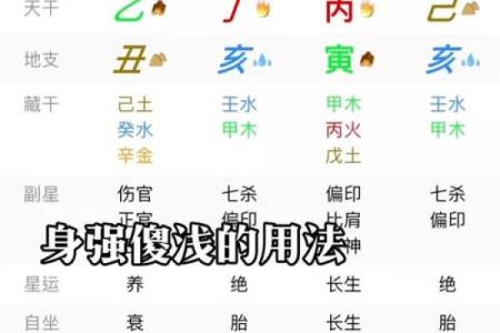 学会这招，轻松测算你的生辰八字，命运全揭晓！
