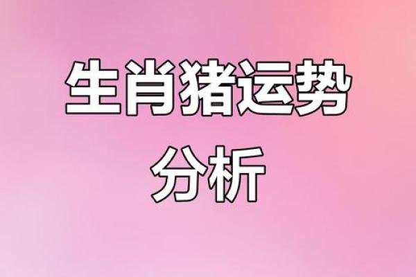 明年生肖猪的命运走向与运势解析 明年生肖猪的命运走向与运势解析