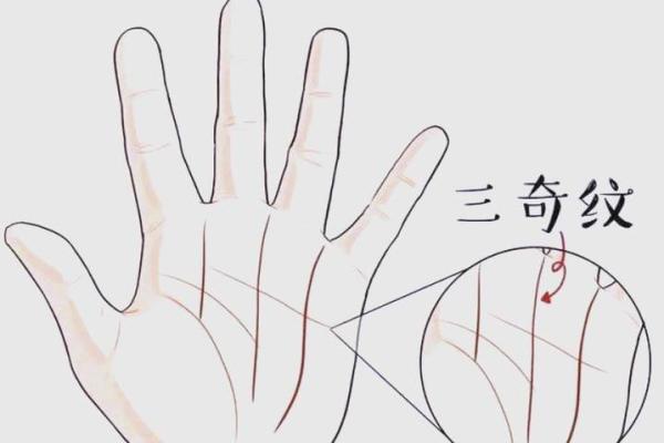 半三奇命的深层解析与命运揭秘 半三奇命的深层解析与命运揭秘