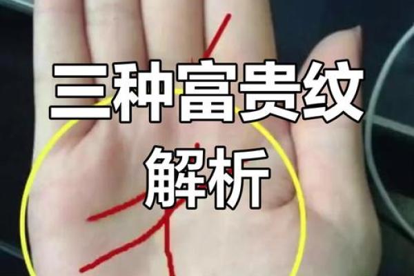 半三奇命的深层解析与命运揭秘 半三奇命的深层解析与命运揭秘