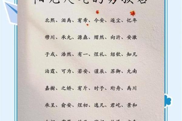 创意十足的朗朗上口男孩名字推荐 创意十足的朗朗上口男孩名字推荐