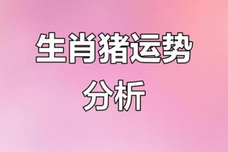 明年生肖猪的命运走向与运势解析