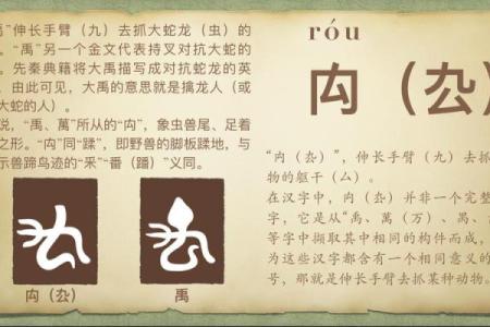 从五行角度解读梪的属性和作用