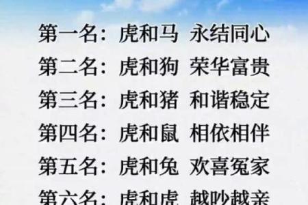 属兔女和属虎男的爱情运势：性格差异是否会成为阻碍
