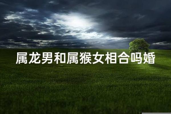 从性格到缘分：女猴男马是否适合在一起