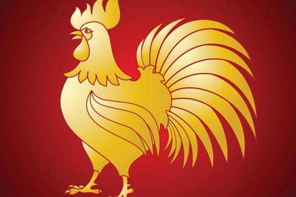 虎与鸡的性格契合度如何