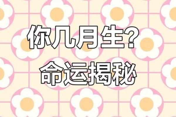 出生的你,命运如何? 出生的你,命运如何?