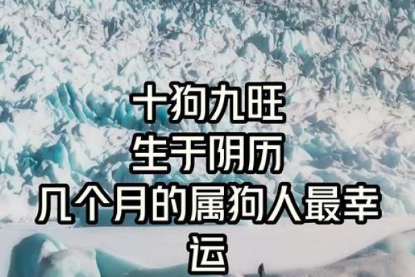 盘点农历的幸运与挑战，你准备好了吗？