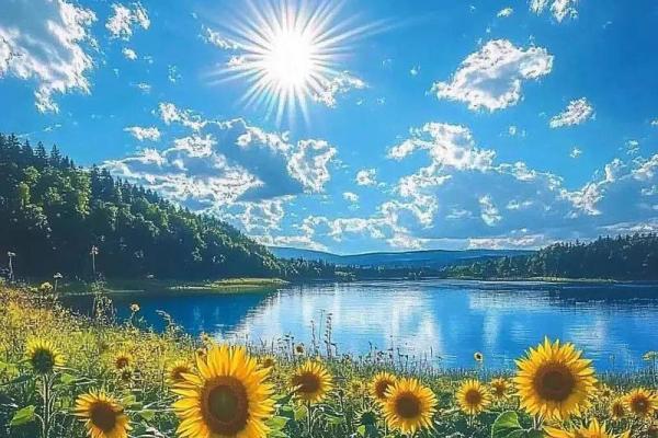 带来好运的风水招财头像推荐 带来好运的风水招财头像推荐