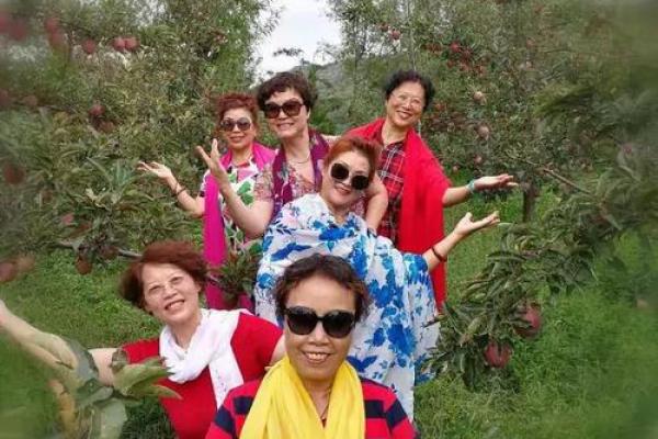 1966年：风云变幻，岁月如歌