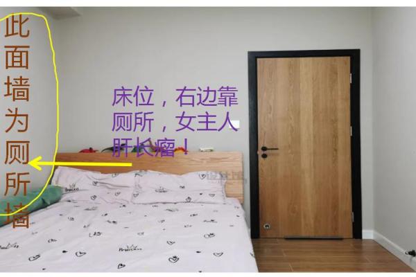 得肝病的家居风水禁忌与调理方法解析 得肝病的家居风水禁忌与调理方法解析