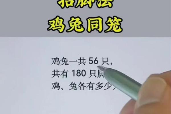 鸡与兔的搭配：一种理想的组合吗？