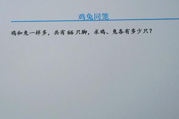 鸡与兔的搭配：一种理想的组合吗？