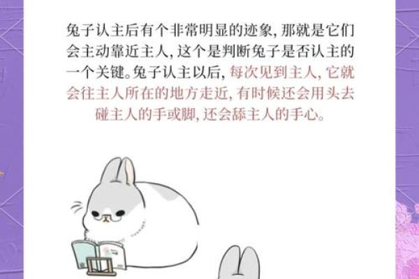 从性格角度看男蛇女兔的配对是否合适