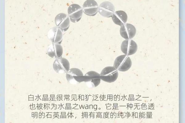 白色五行属性解析：它到底属于哪个元素？