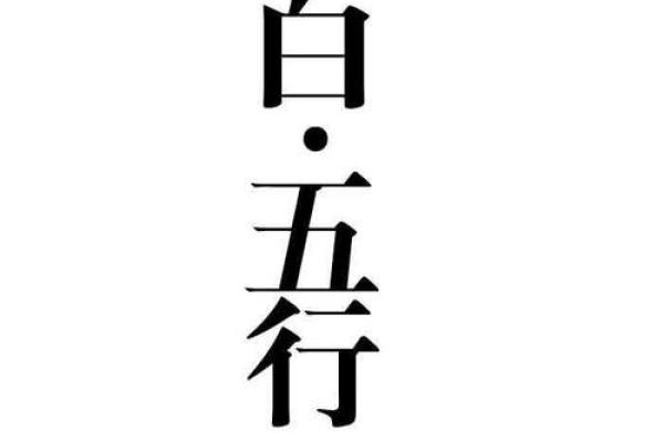 白色五行属性解析：它到底属于哪个元素？