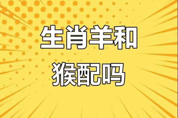 属猴与属猴的配对是否合适 解析二者的婚姻缘分