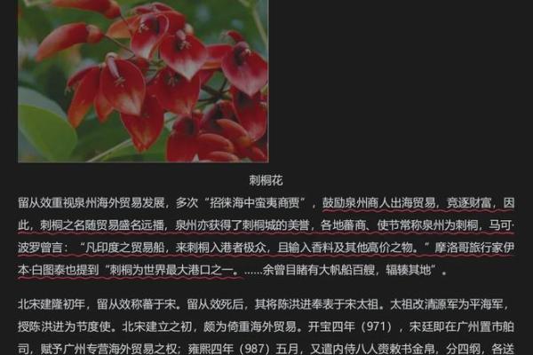 常见名字背后的文化与历史