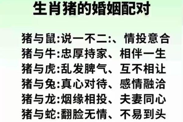 属虎与属猪的相处之道 相配还是不合？