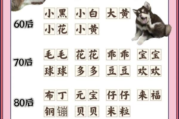 创意十足的狗名字推荐，让你的宠物与众不同