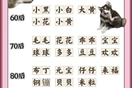 创意十足的狗名字推荐，让你的宠物与众不同