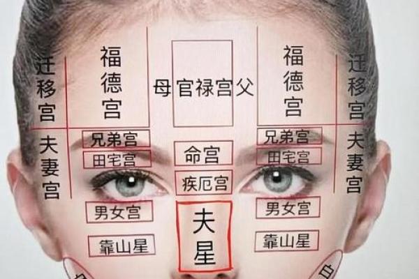 从西命看命运与个性的关联 从西命看命运与个性的关联