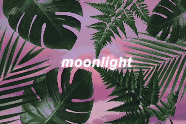 从夜色中汲取灵感 给公司起个非凡的名字 从夜色中汲取灵感 给公司起个非凡的名字