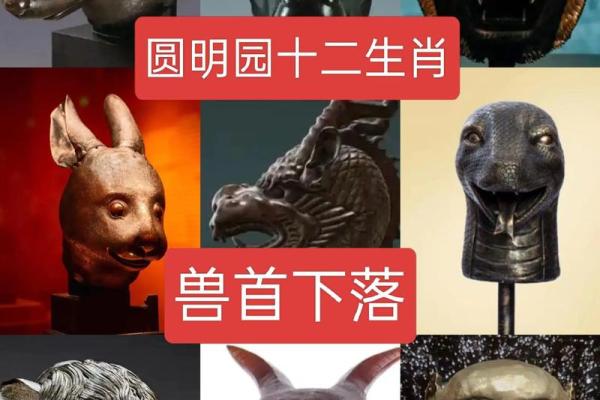 十二生肖缺少猫的历史谜团与传说解析 十二生肖缺少猫的历史谜团与传说解析