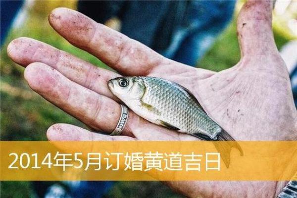 为什么现代人依然离不开农历? 为什么现代人依然离不开农历?