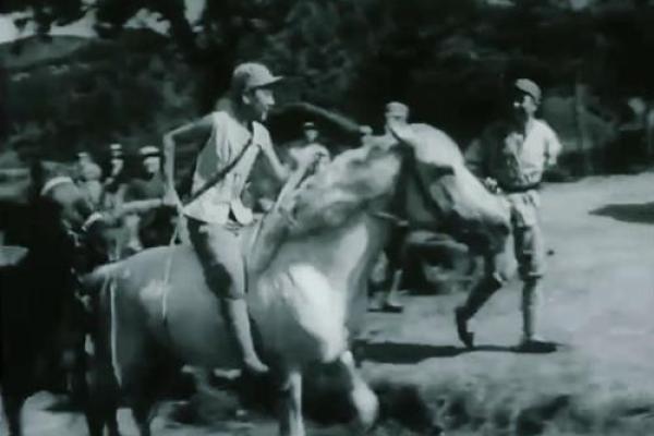 1975年大事记：回首激情燃烧的岁月