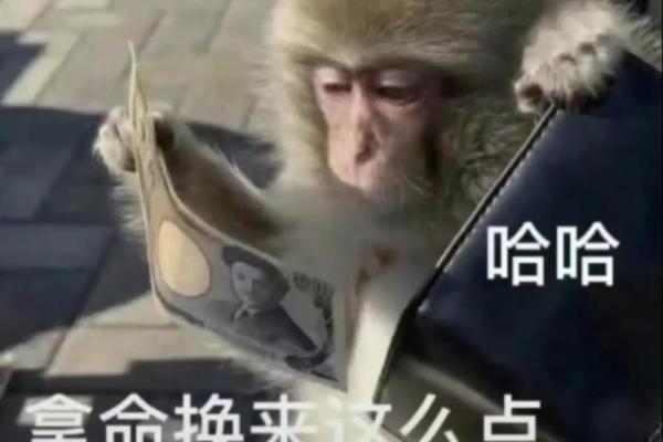 打工的命:那些为生存而奋斗的动物们 打工的命:那些为生存而奋斗的动物们