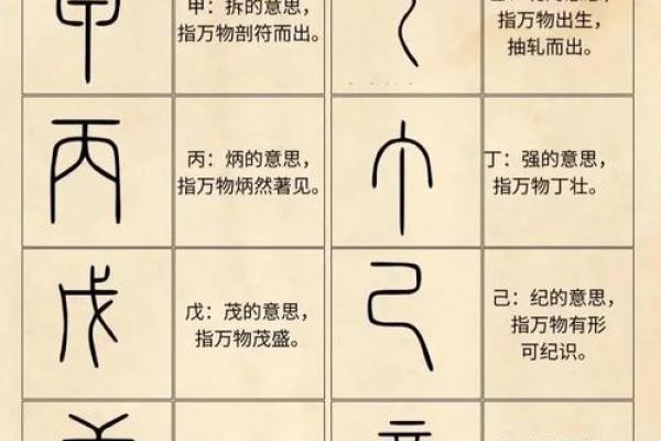 秒字五行解析：如何通过五行理解秒字的象征意义