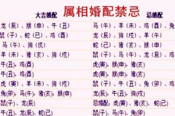 属牛与属鼠的婚姻运势:匹配度解析 属牛与属鼠的婚姻运势:匹配度解析