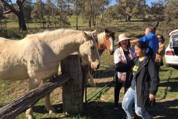 创造一个难忘的农庄名字的五个步骤 创造一个难忘的农庄名字的五个步骤