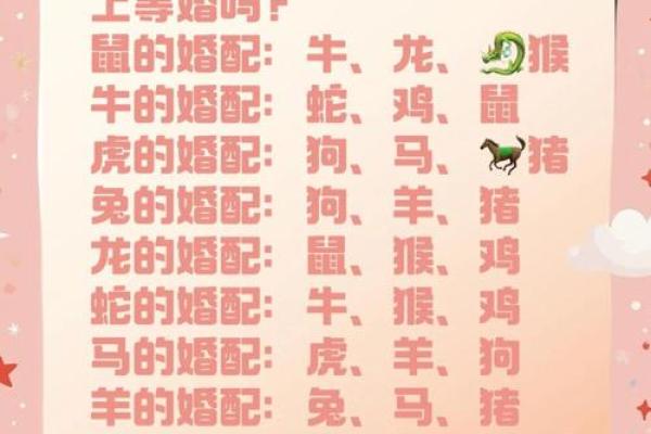 属相配对分析与最佳婚配组合揭秘 属相配对分析与最佳婚配组合揭秘