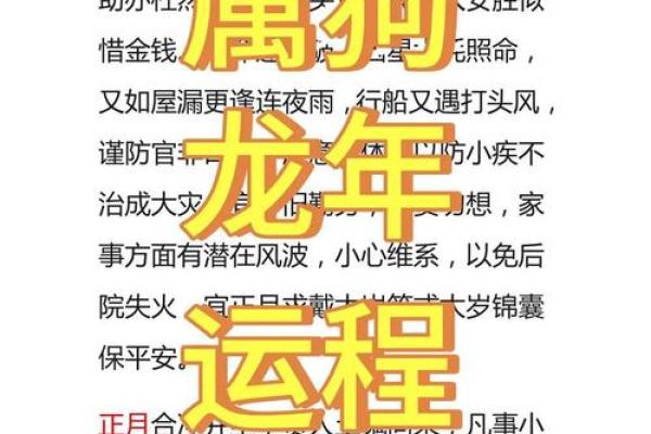 出生属狗人的命运与运势预测