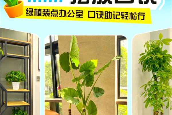 办公室风水摆件选择与布局指南 办公室风水摆件选择与布局指南