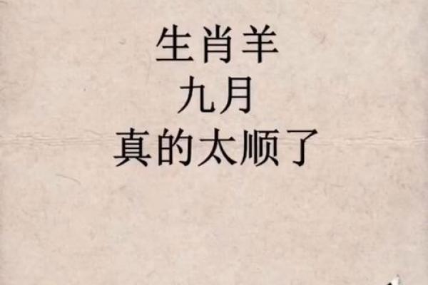 属羊人在的每月运程总结,如何顺利度过每个阶段 属羊人在的每月运程总结,如何顺利度过每个阶段